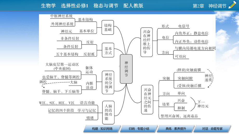 新教材2021-2022高中生物人教版选择性必修1课件：-章末总结.pptx_第3页