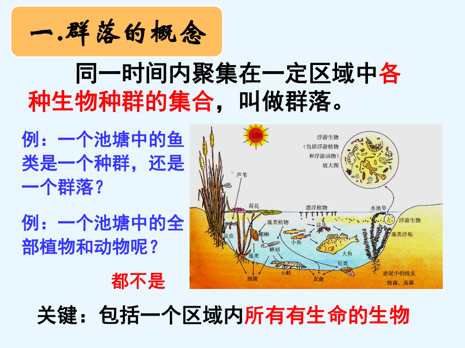 人教版生物必修三4.3《群落的结构》(共32张PPT)课件.ppt_第2页