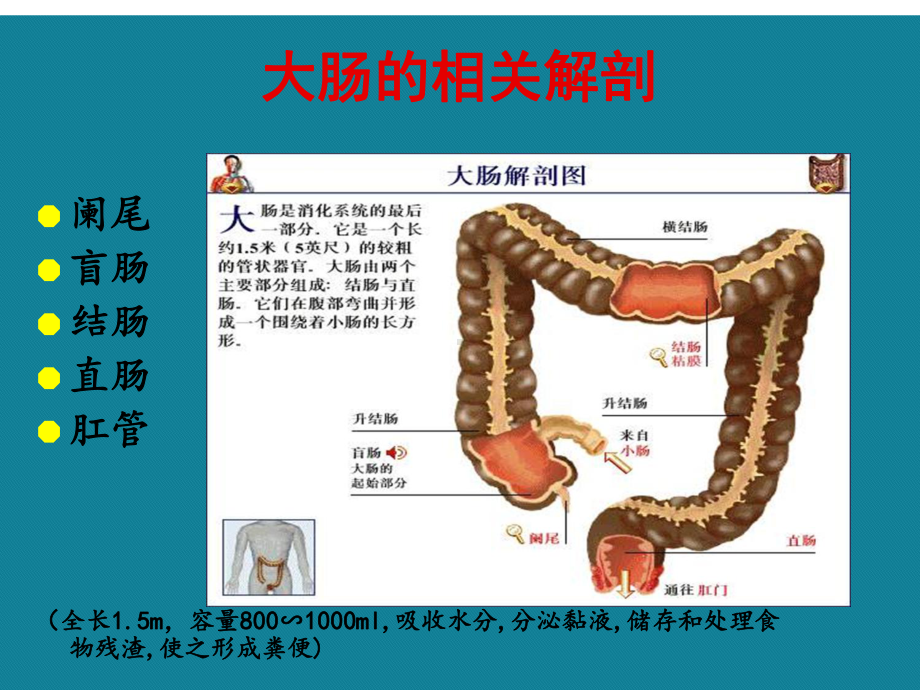 (优选)大肠癌围手术期护理课件.ppt_第3页