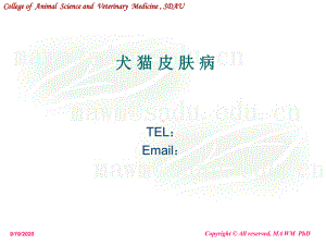 动物普通病学犬猫皮肤病PPT课件.ppt