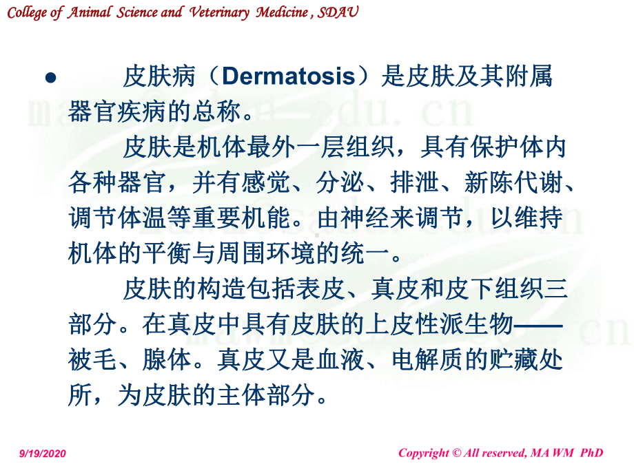 动物普通病学犬猫皮肤病PPT课件.ppt_第2页