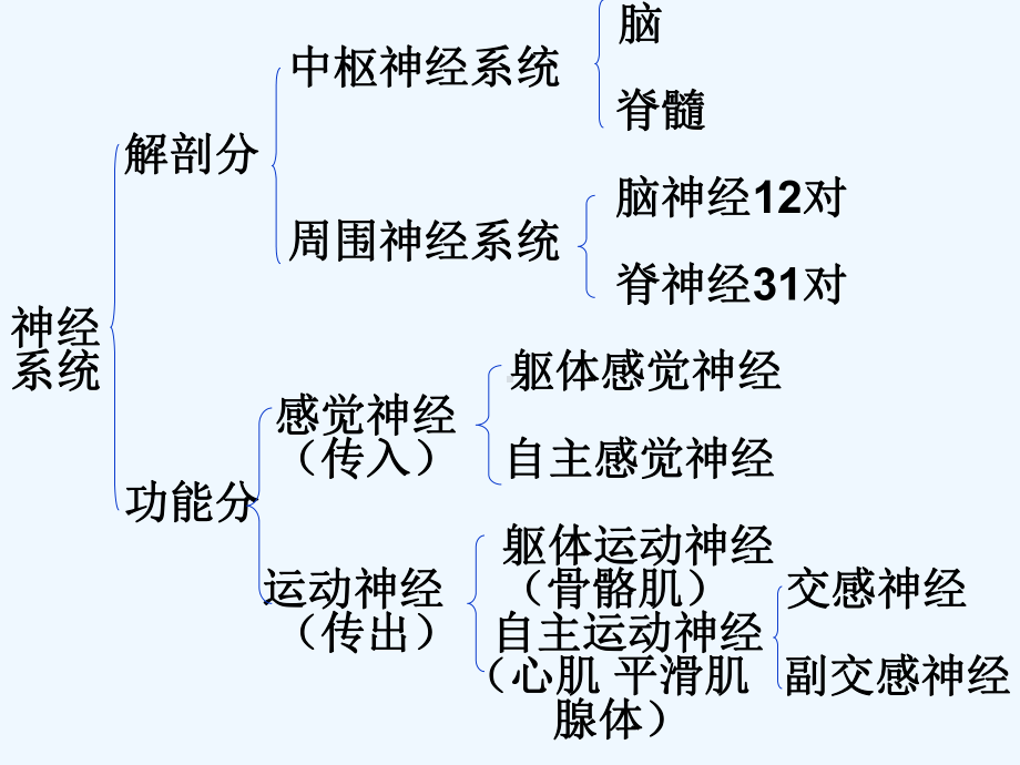 人体解剖生理学第三章-神经系统[可修改版ppt]课件.ppt_第3页