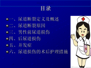 尿道断裂医学宣教课件.ppt