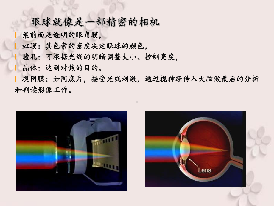 儿童视力保健课件.ppt_第3页