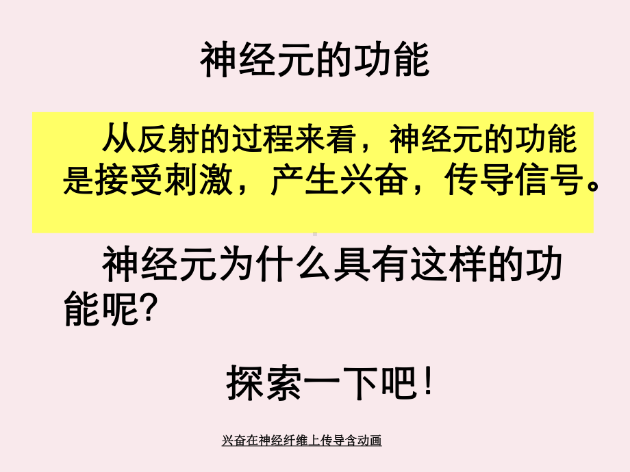 兴奋在神经纤维上传导含动画课件.ppt_第2页