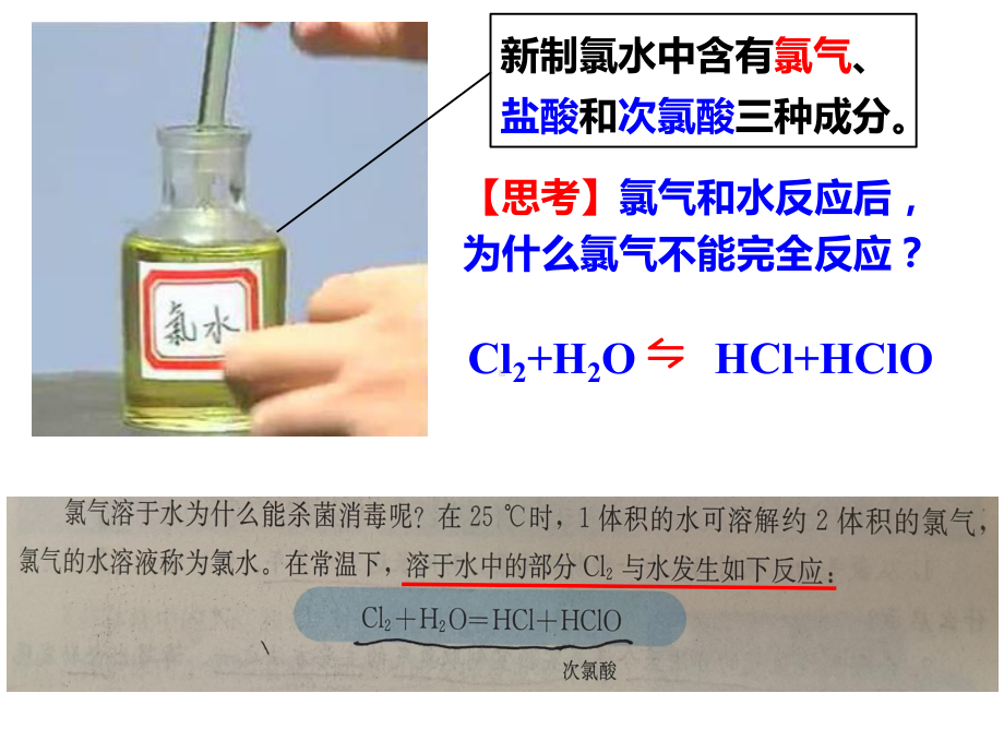 2.2.1 化学平衡 ppt课件-（2019）新人教版高中化学选择性必修一.pptx_第2页