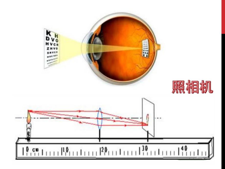 八年级物理上册-第五章5.4眼睛和眼镜(共17张PPT)课件.pptx_第3页