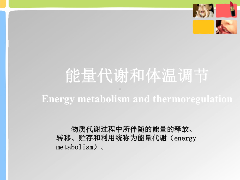 动物生理学能量代谢与体温调节课件.ppt_第1页