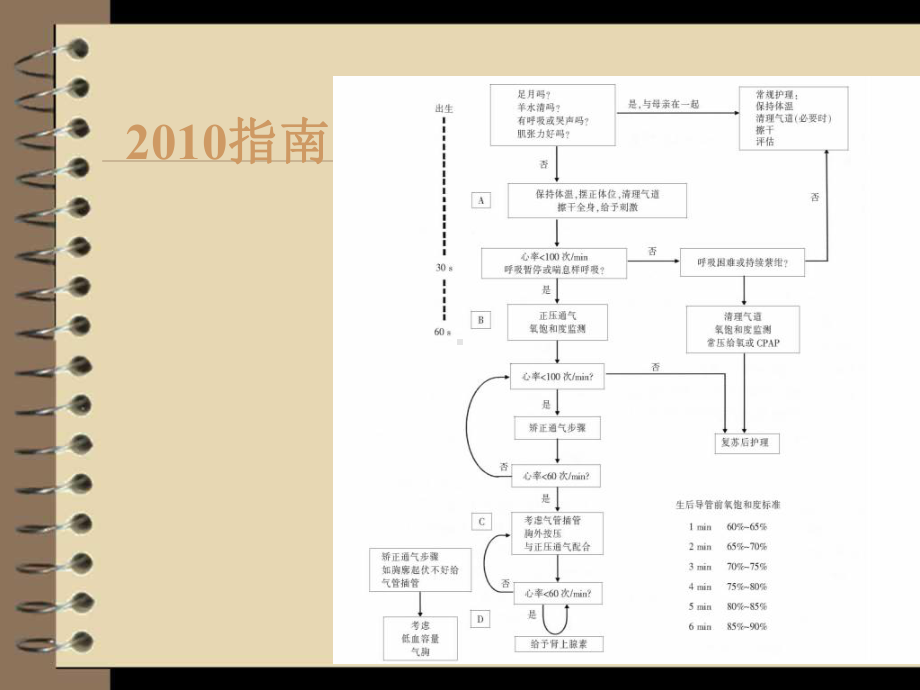 新版新生儿复苏指南解读课件.pptx_第3页