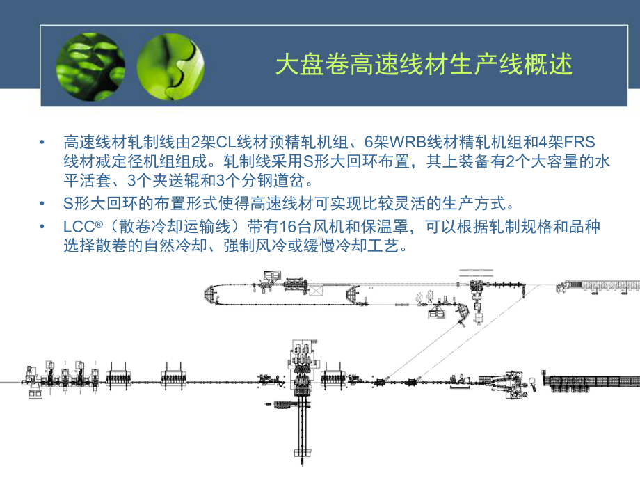 大盘卷高速线材生产线工艺与设备简介课件.pptx_第2页