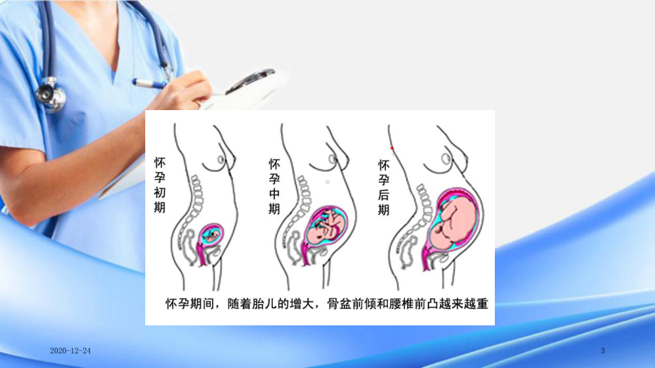 关爱女性盆底健康盆底康复(精选干货)课件.ppt_第3页