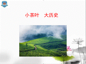 小茶叶-大历史课件.ppt