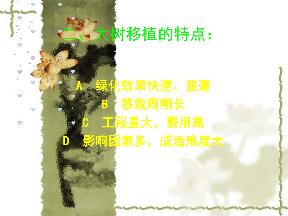 大树移栽的方法和步骤课件.ppt_第3页