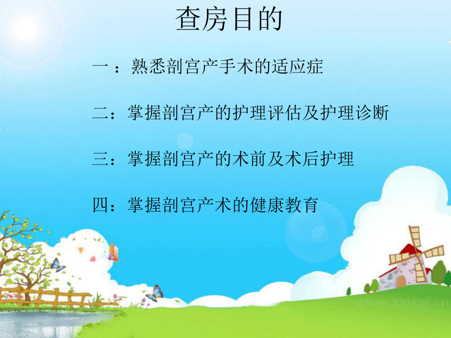 剖宫产护理查房课件.ppt_第2页