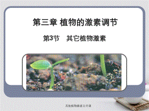 其他植物激素公开课课件.ppt