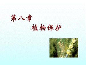 农学概论-植物保护课件.ppt