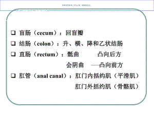 大肠的结构和功能课件.ppt