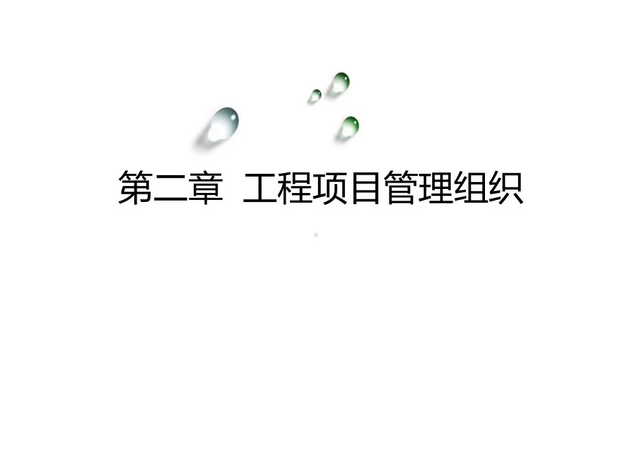 工程项目管理组织模板课件.ppt_第1页