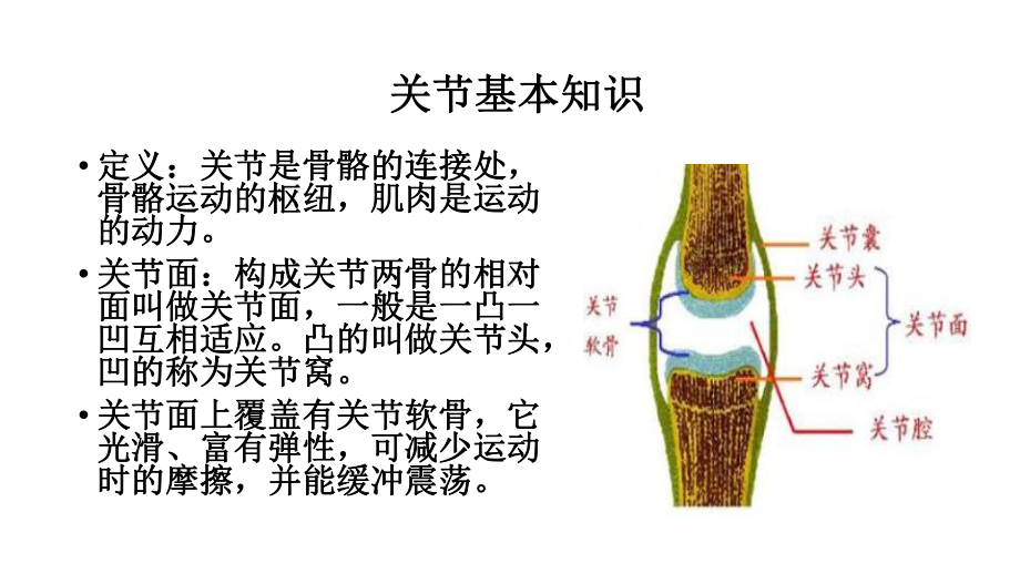 关节脱位病人的护理课件.pptx_第2页