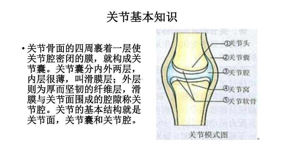 关节脱位病人的护理课件.pptx_第3页