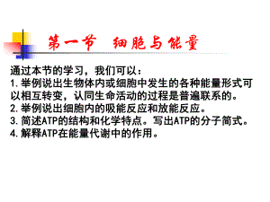 列举细胞内的一些吸能反应课件.pptx