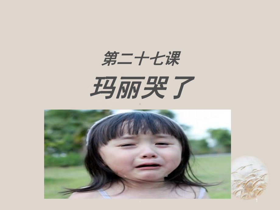 对外汉语教学(课堂PPT)课件.ppt_第1页