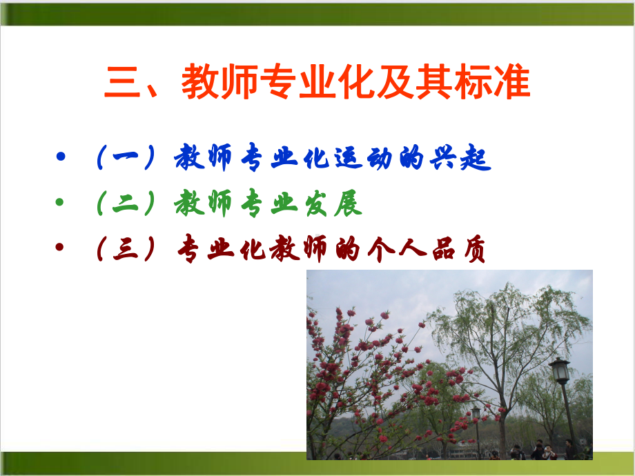 教师专业化及其标准课件.ppt_第1页