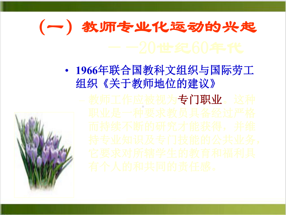 教师专业化及其标准课件.ppt_第2页