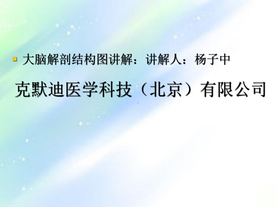 大脑解剖结构ppt课件.ppt_第1页