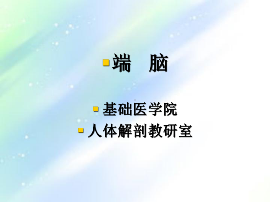 大脑解剖结构ppt课件.ppt_第2页