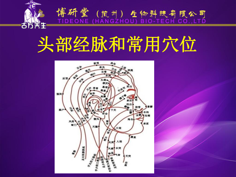 头部常用穴位及经络课件.pptx_第1页