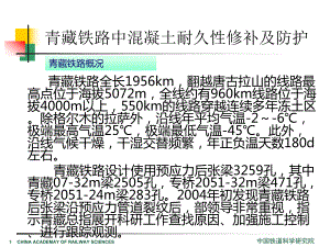 工程建设青藏铁路混凝土结构耐久性修补及防护技术课件.pptx