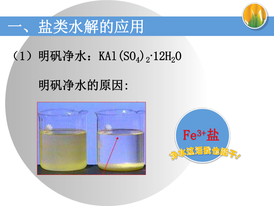 第三章第三节盐类的水解ppt课件-（2019）新人教版高中化学高二上学期选择性必修一.pptx_第2页