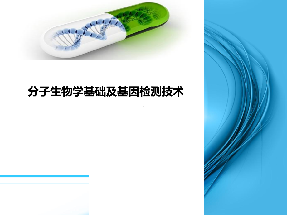 分子生物学基础及基因检测技术课件.pptx_第1页