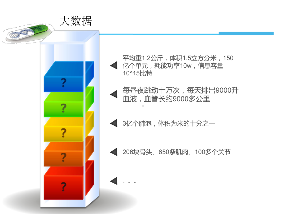 分子生物学基础及基因检测技术课件.pptx_第3页