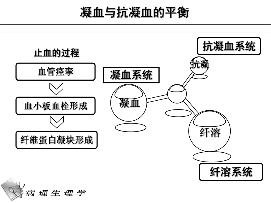 凝血和抗凝血平衡紊乱-PPT课件.ppt_第3页