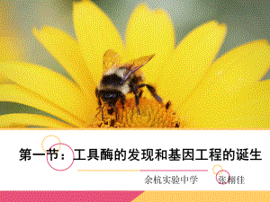 工具酶的发现和基因工程的诞生课-件课件.ppt