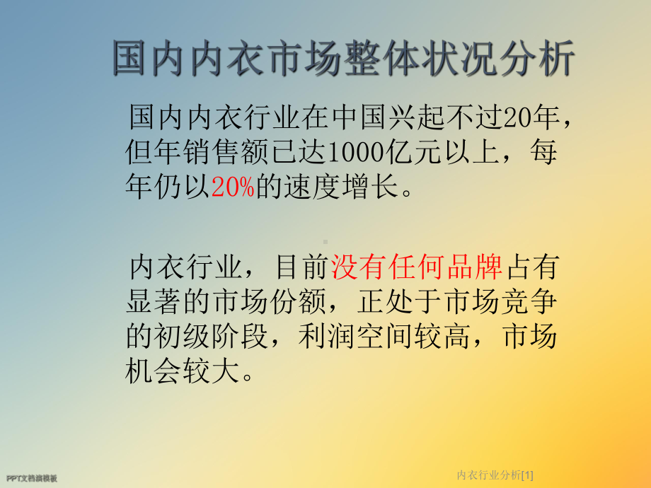 内衣行业分析[1]课件.ppt_第3页