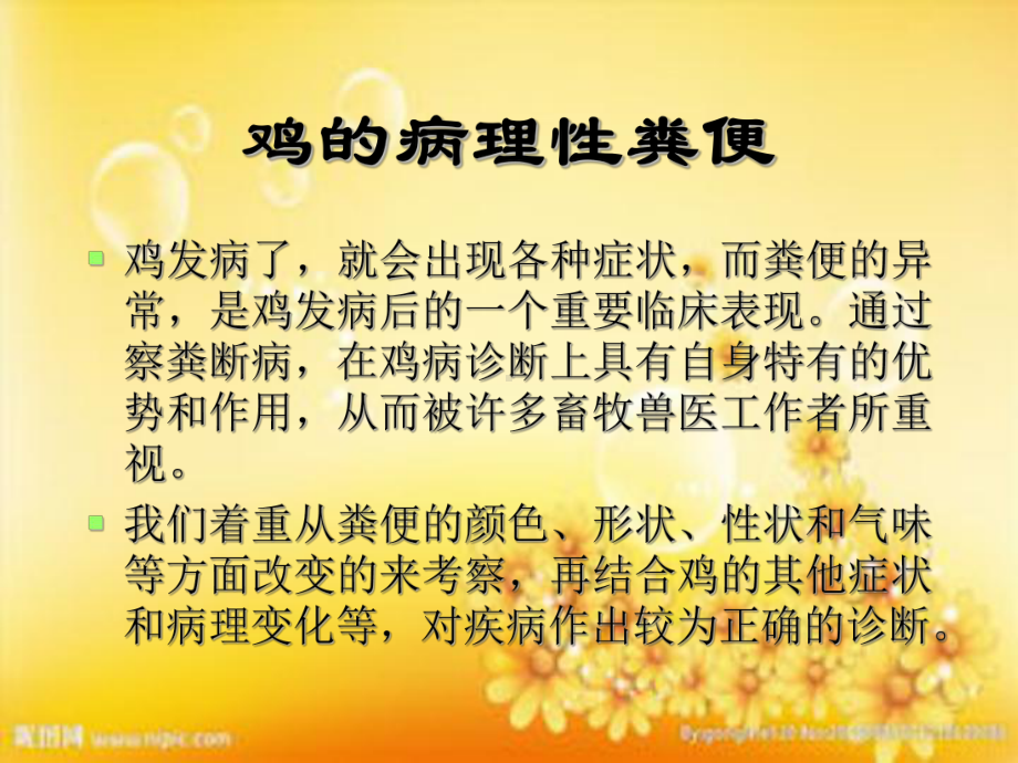 察鸡粪辨鸡病课件.ppt_第3页