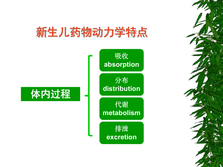 新生儿合理用药抗生素应用原则课件.pptx_第2页