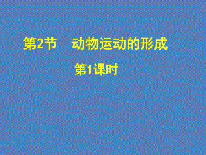 初中生物北师大版八年级上册15.2-动物运动的形成(共28页)课件.ppt