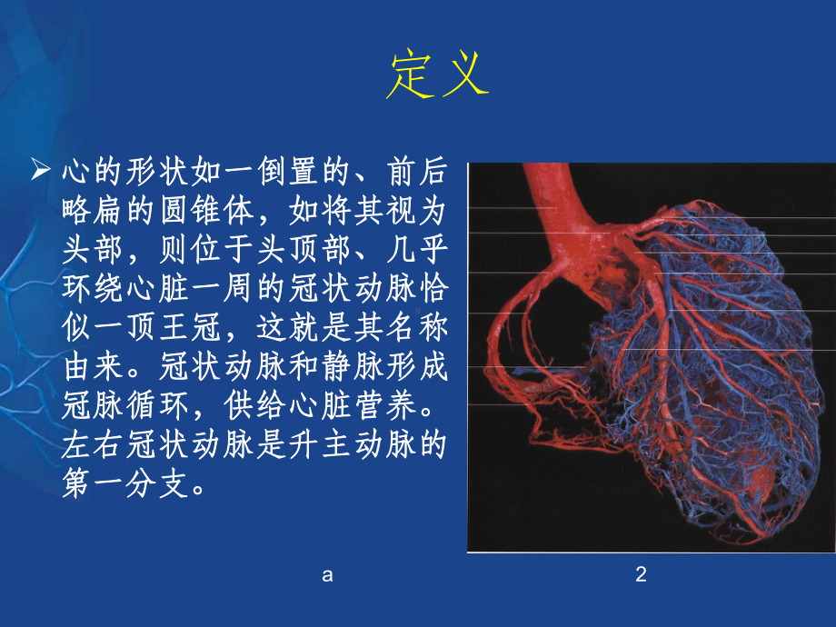 冠状动脉的解剖与冠脉造影55881课件.ppt_第2页