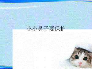 小小鼻子要保护(完整版)ppt资料课件.ppt