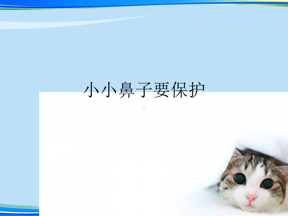 小小鼻子要保护(完整版)ppt资料课件.ppt_第1页