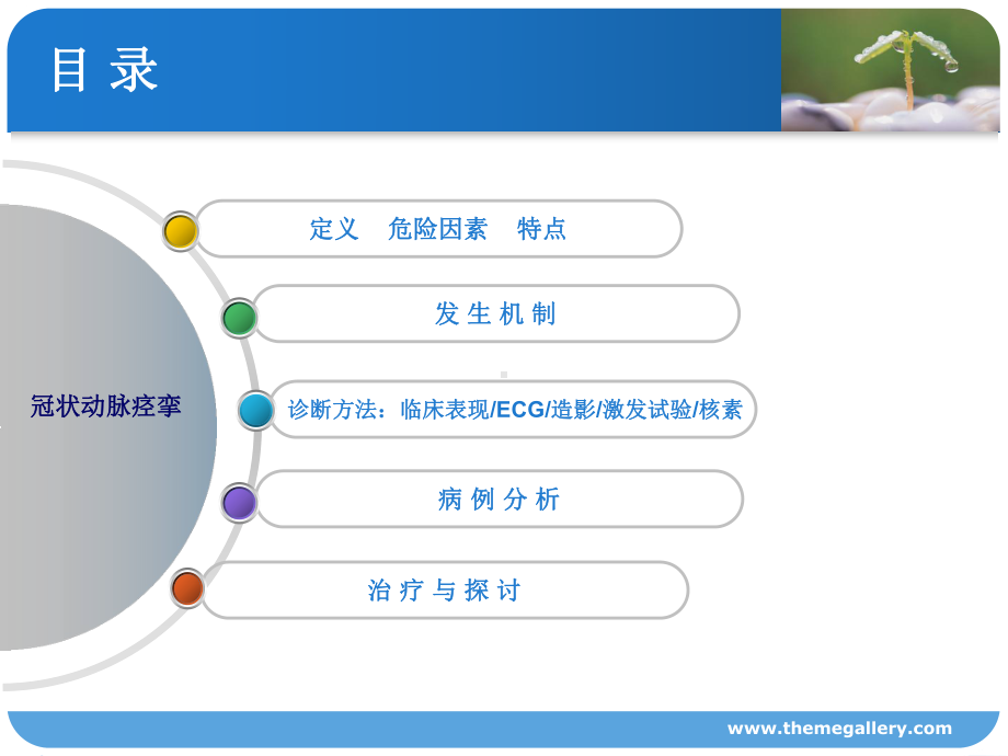 冠状动脉痉挛课件.pptx_第2页