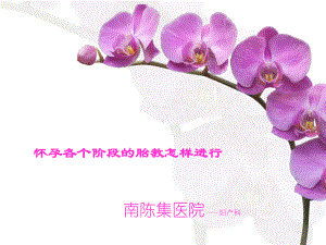 孕妇学校胎教幻灯片讲述课件.ppt