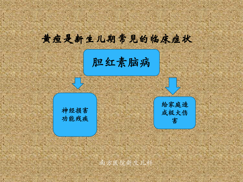 新生儿黄疸专家共识学习课件.pptx_第2页