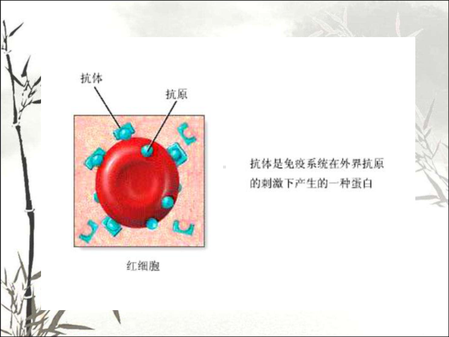 免疫学检测技术ppt课件.ppt_第2页