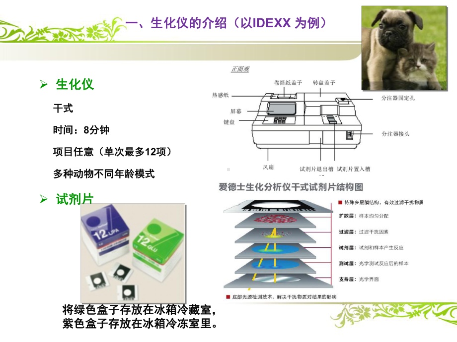 宠物临床诊疗生化讲义课件.ppt_第3页