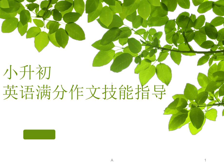 小升初英语作文(文库)课件.ppt_第1页